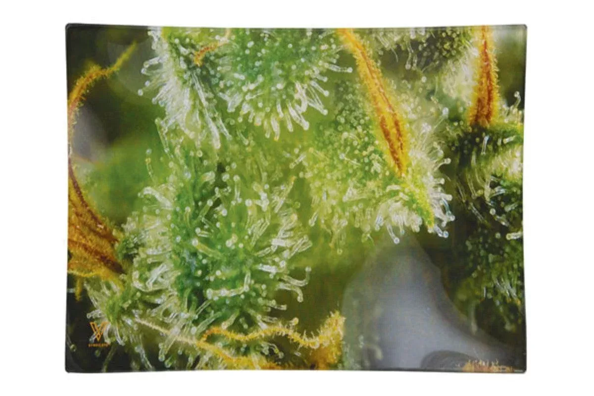 Tricomb Jungle Glass Rolling Tray- 2 Sizes